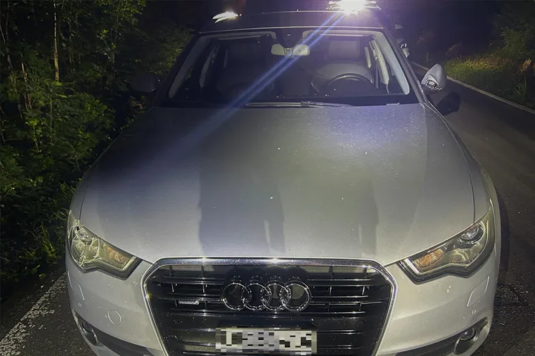 Zeugenaufruf nach Roller-Kollision in Kloten ZH – Flucht vor Polizei endet im Hardwald