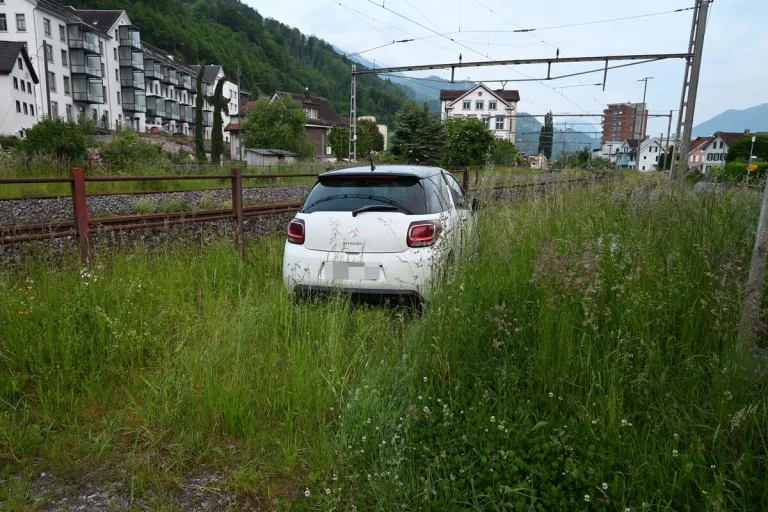 Murg SG - Fahrunfähig auf einer Wieser gelandet 