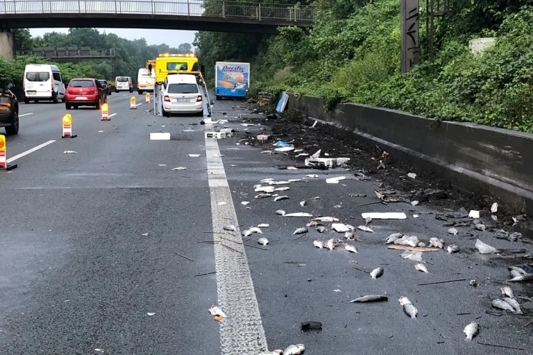 Unfall auf der A 40 - Anschlussstelle Gelsenkirchen-Süd - Speisefische auf der Fahrbahn
