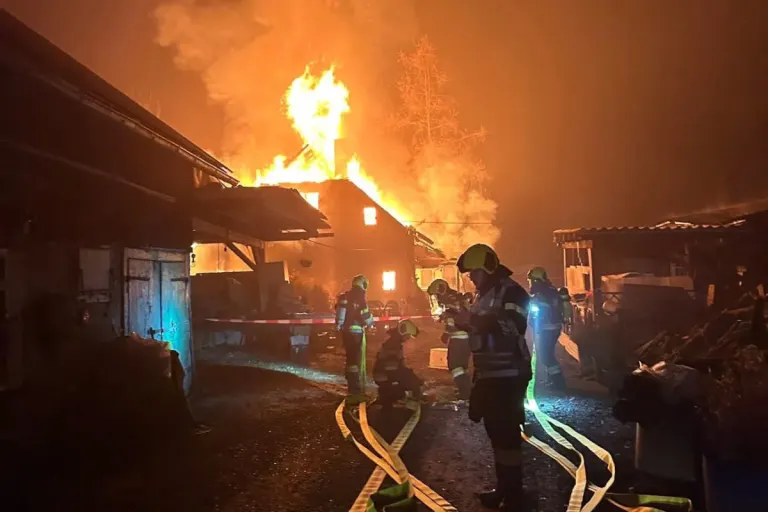 Selzthal ST – Wohnhaus in Brand