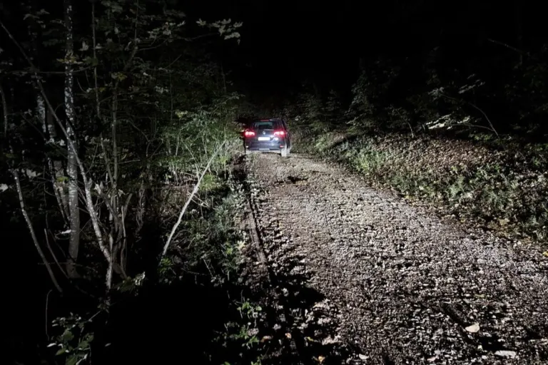 Birr AG – Jugendliche verunfallen mit gestohlenem Auto nach Flucht vor Polizei