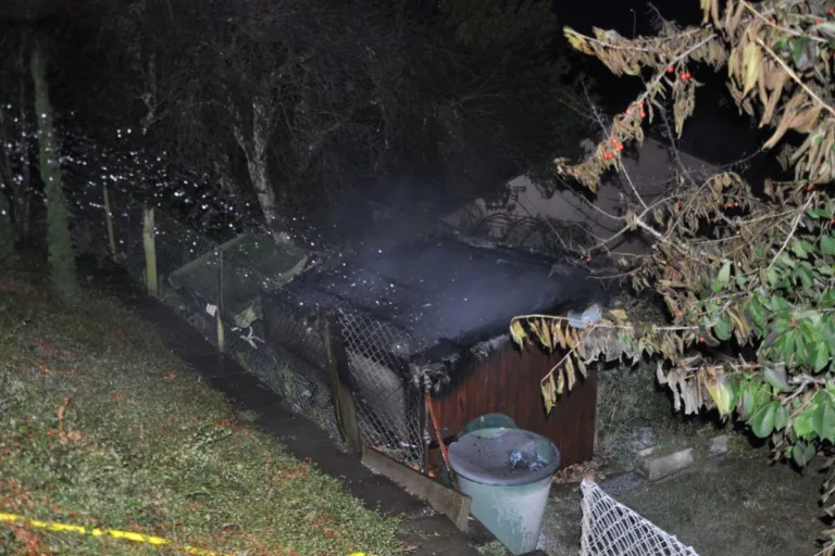 Grenchen SO - Gartenhaus in Vollbrand
