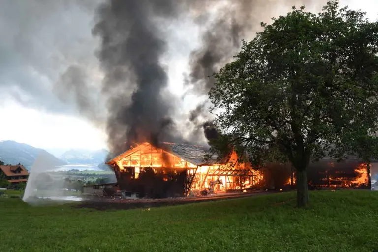 Grosseinsatz wegen Scheunenbrand in Alpnach Dorf OW - Mehrere Kälber tot!