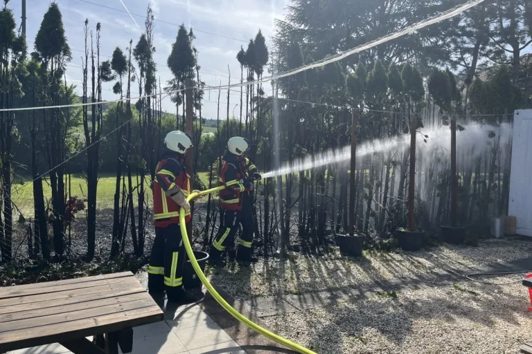 Eschenz TG - 20 Meter lange Hecke in Brand geraten