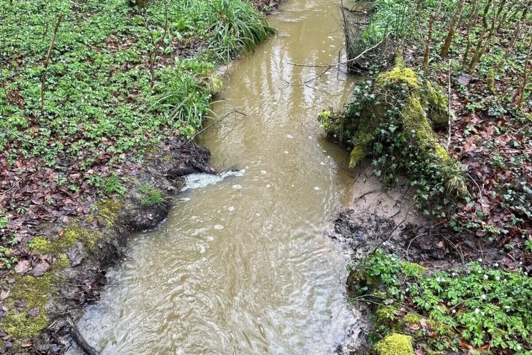 Flawil SG - Jauche im Bach - Landwirt wird zur Anzeige gebracht