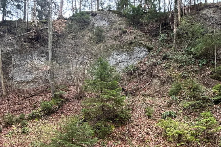 Dussnang TG - Wanderer stürzt rund 20 Meter einen Abhang hinunter