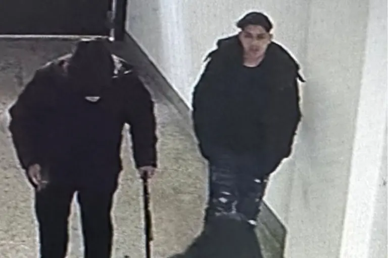 Öffentliche Fahndung in Wien – Schwerer Diebstahl aus Wohnung