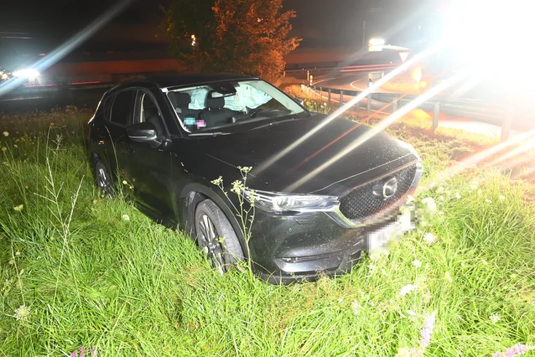 A13 Sennwald SG – Selbstunfall endet im Wiesland