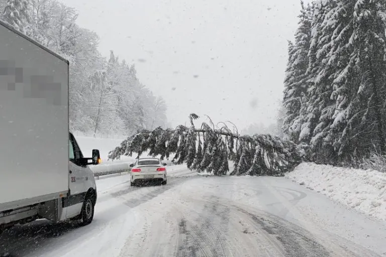 A3 bei Zürich – Baum auf Fahrbahn gestürzt