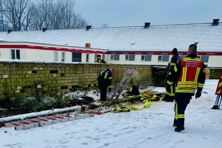 Gelsenkirchen NW - Pferd aus Mistgrube gerettet