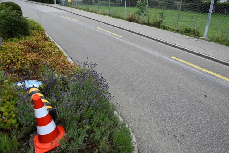 Niederuzwil SG - Verkehrsteiler umgefahren und geflüchtet 