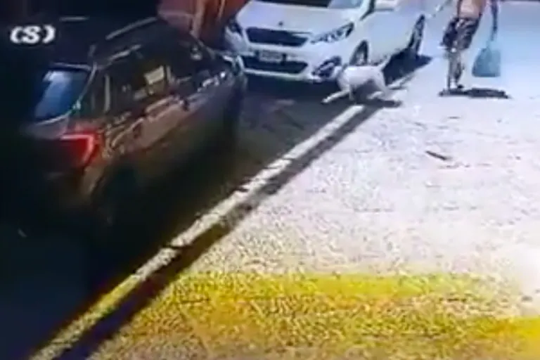Neapel (it) - Paar kettet Hund an Pfahl und lässt ihn gnadenlos an der Hitze zurück!