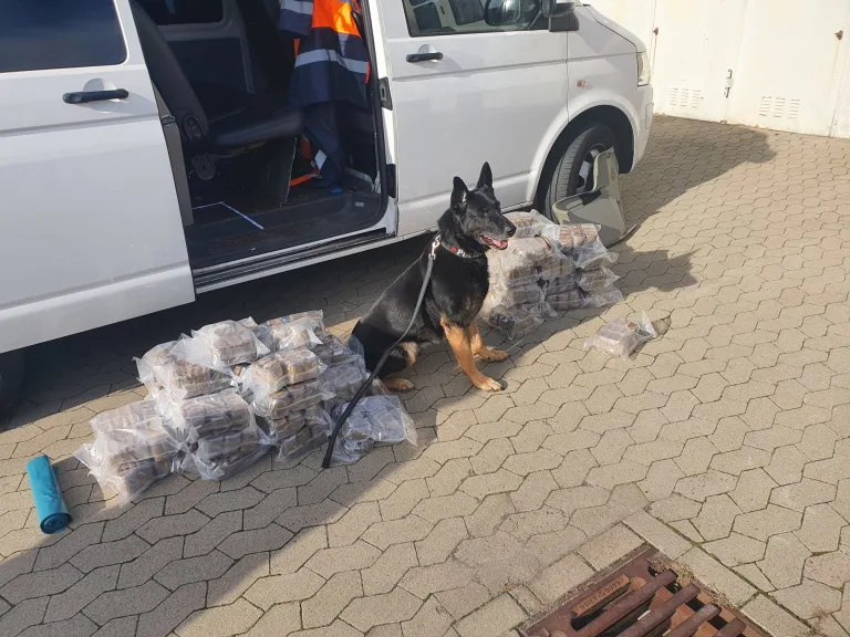 Münster: Festnahmen nach Handel mit mehr als einer Tonne Betäubungsmittel