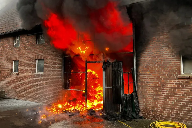 Werne – 100 Schweine bei Großbrand in Stall gestorben