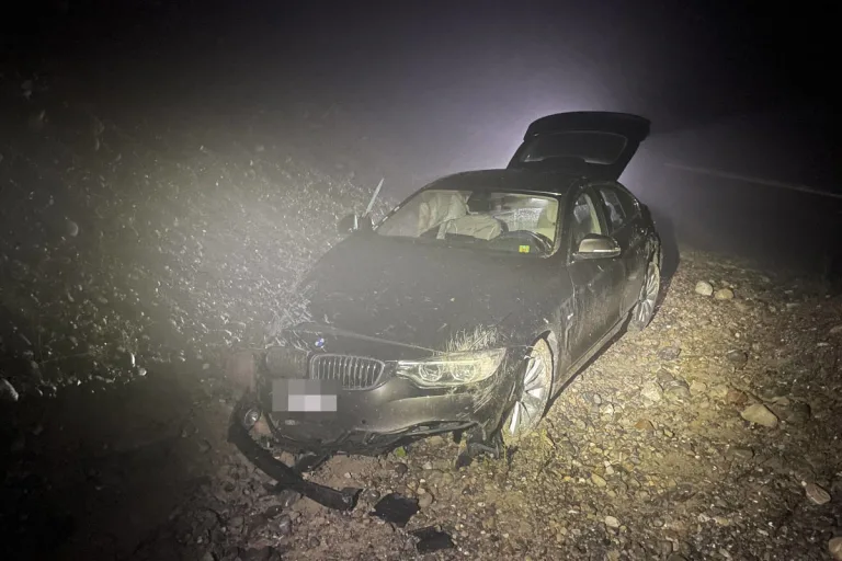 Freudwil ZH – Selbstunfall endet mit Totalschaden