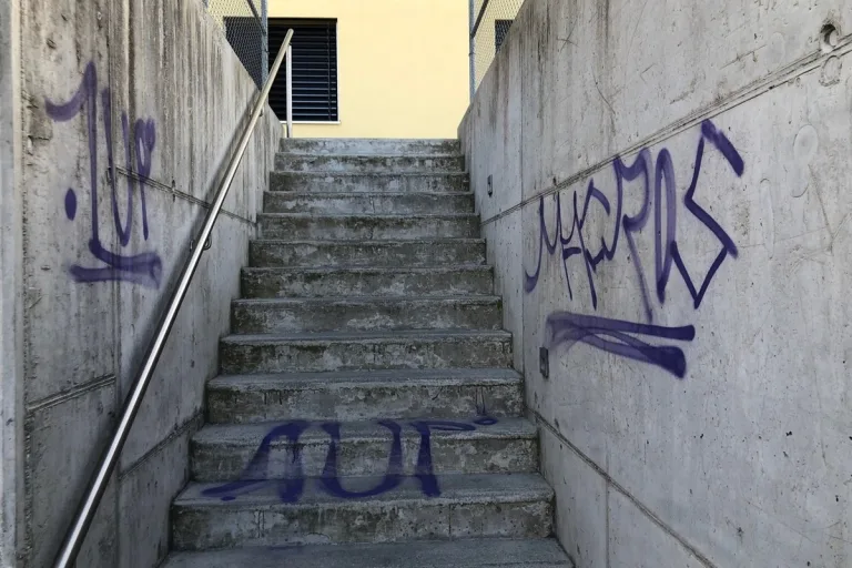 Trimmis GR - Sachbeschädigungen aufgeklärt