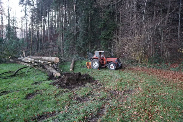  Degersheim SG - Junger Mann  von Baum getroffen