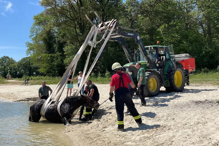 Goch-Asperden – Pferd versinkt in Spülsand