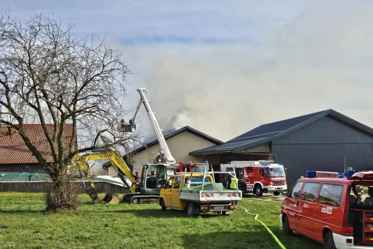 Braunau OÖ – Rinder gerettet bei Brand auf Bauernhof