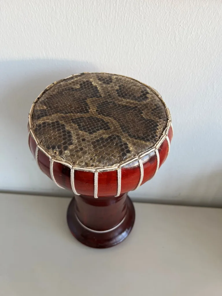 München – Souvenir aus Pythonleder wird beim Zoll beschlagnahmt