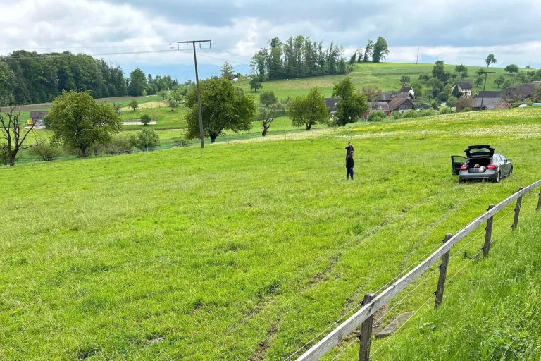 Beinwil AG - Am Steuer eingeschlafen