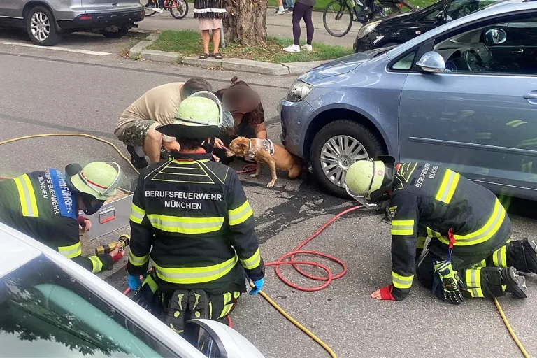 München BY – Hund unter Pkw eingeklemmt