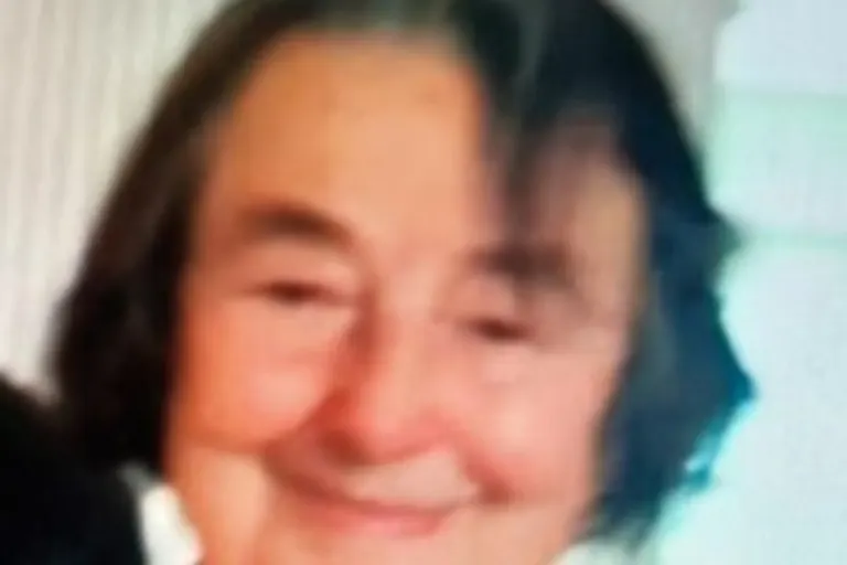 Malente SH - 87-Jährige wird vermisst 