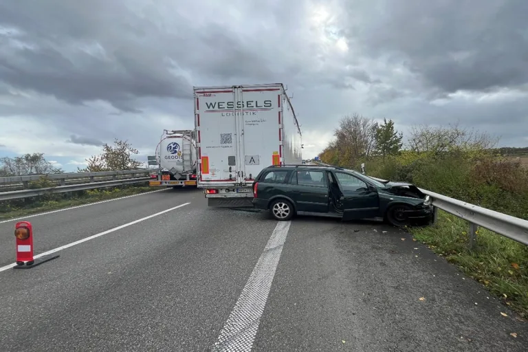 A65 Landau RP – 56-Jähriger prallt alkoholisiert gegen Lkw