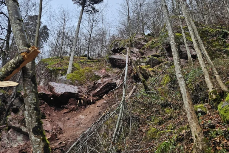 Ennenda GL – Blockschlag dank Schutzwald ohne Personenschaden
