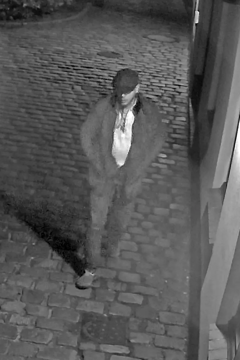 Flensburg – Fahndung nach Angriffen auf Parteibüros