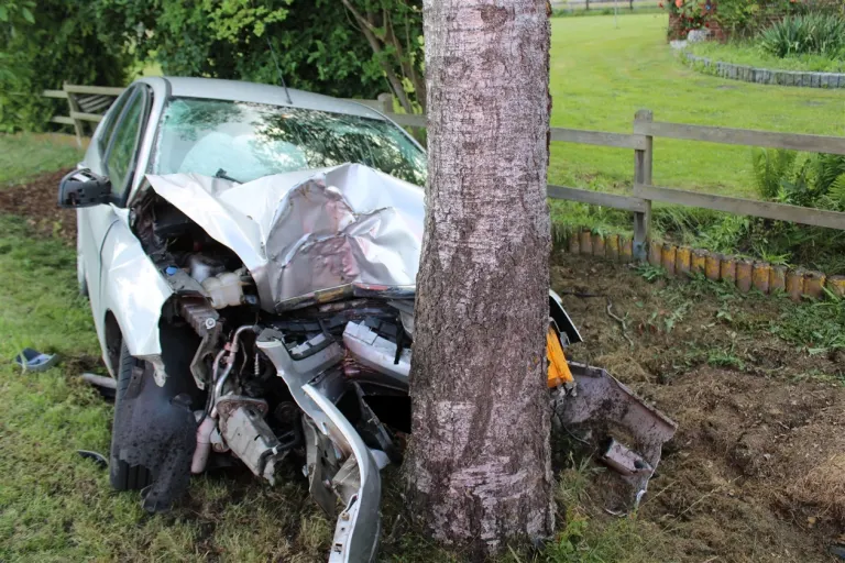 Stemwede – Autofahrer prallt gegen Baum