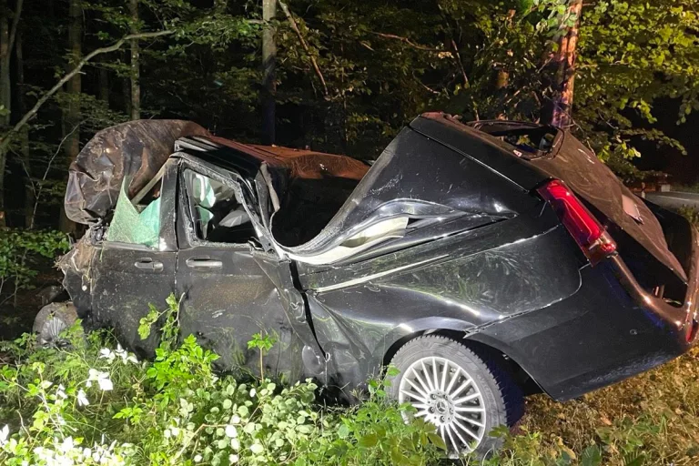 L502 Kaiserslautern RP – Fahrer bei Unfall mit Wild verletzt