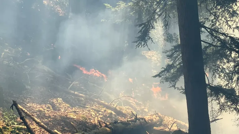 Waldbrand bei Les Roches-de-Moron NE noch nicht unter Kontrolle