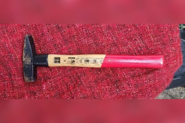 Wien – Sohn geht mit Hammer auf Mutter los