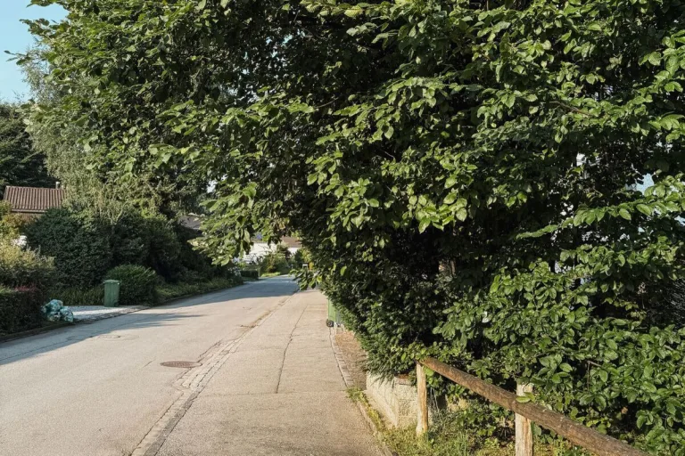 Sicherheit auf dem Trottoir – Rückschnitt nicht vergessen