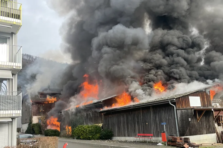 Pieterlen BE - Hund kommt bei Brand ums Leben