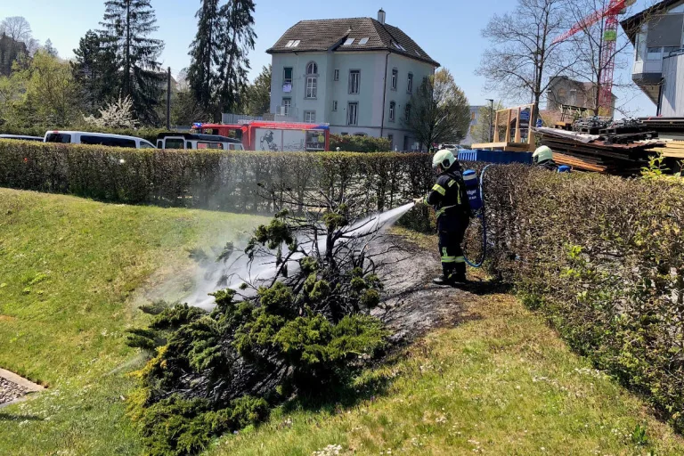 Bischofszell TG – Brand einer Hecke gelöscht