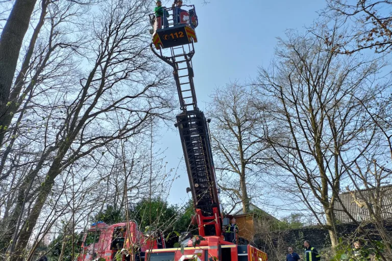 Sankt Augustin – Es gibt die Einsätze wirklich – Feuerwehr rettet Katze aus Baum