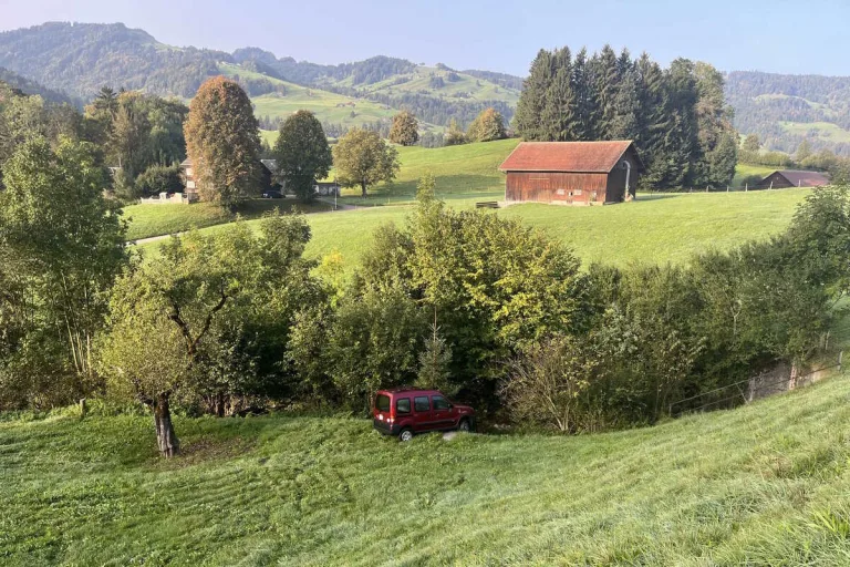 Ebnat-Kappel SG - Fahrunfähig mit einem Schaf kollidiert und geflüchtet 