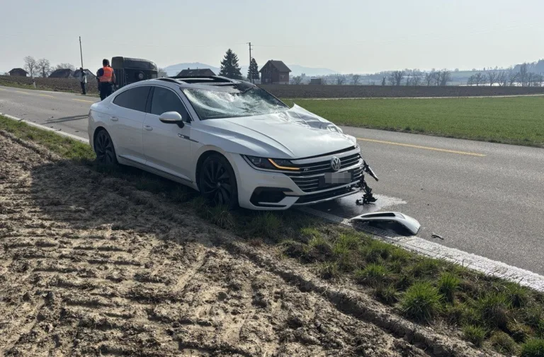 Dörflingen SH – Pferd stirbt bei Unfall mit Auto