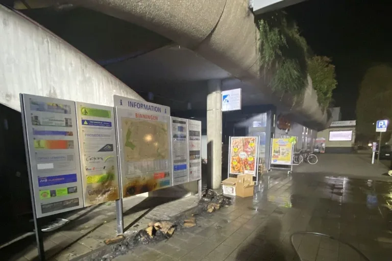 Binningen BL - Brand eines Altkartons