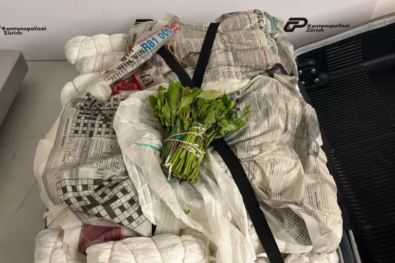 Flughafen Zürich - Drogenkurier verhaftet