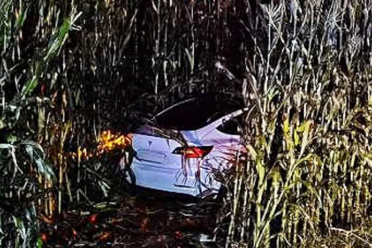 Spektakulärer Unfall in Kirchbichl - Tesla landet in Maisfeld