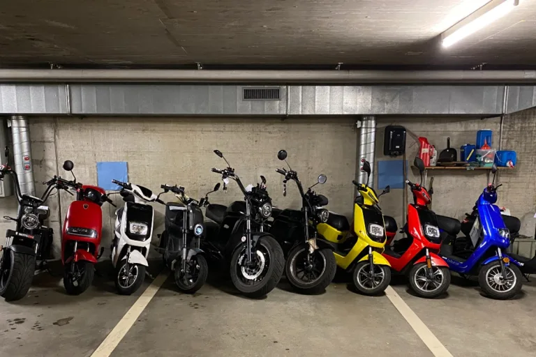 Verkehrskontrolle im Raum Bern – 11 Fahrzeuge wurden sichergestellt