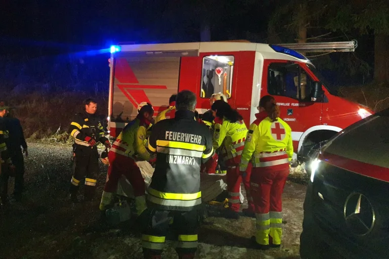 Forstunfall in Unzmarkt – Mann von Baumstamm erfasst
