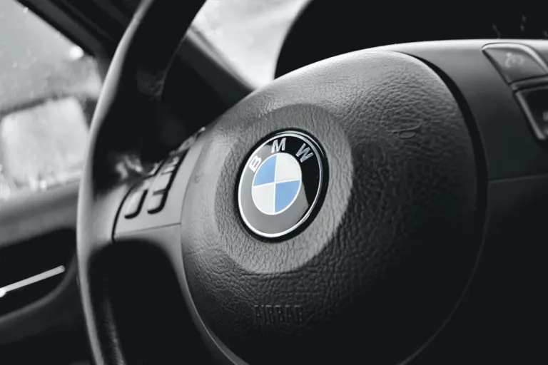 Schwetzingen - BMW-Fahrer nach Verfolgung gestoppt