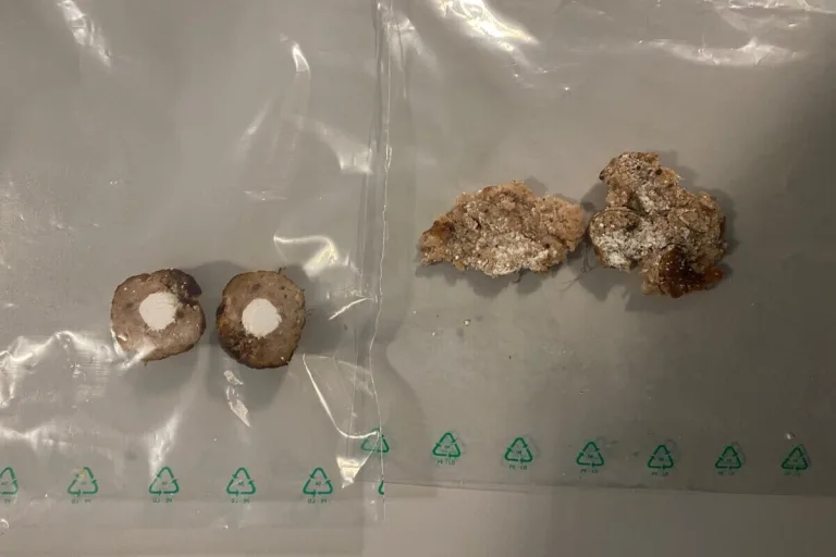 Osburg RP - Verdächtige Hackfleischbällchen 