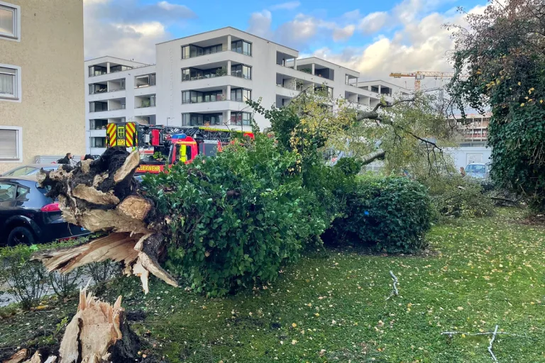 Konstanz BW – Zahlreiche umgestürzte Bäume nach Sturmtief