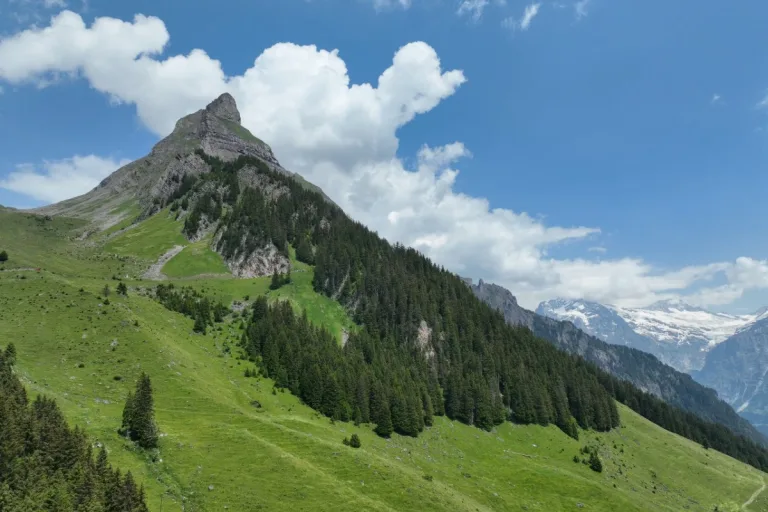 Tödlicher Unfall in Lütschental BE - Basejumper abgestürzt und verstorben
