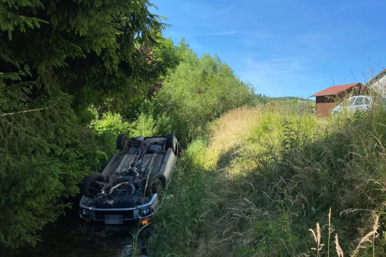 Affeltrangen TG - Im Bach gelandet